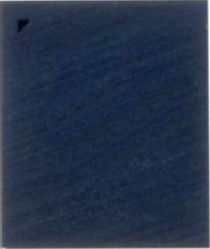 iPhone Touch IC für iPhone X BCM15951B0KUB92GT