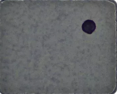 iPhone Charging Booster Coil L3302